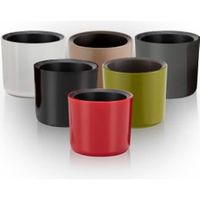 ToXA 4 Adet Mimoza 7cm Çok Renkli 0,2 Litre Mini Boy Kaktüs Sukulent Saksısı Süzgeçli Parlak Saksı 7 cm