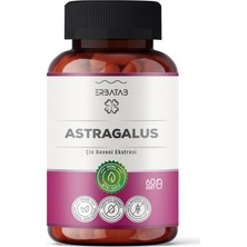 Erbatab Astragalus Çin Geveni Ekstresi 60 Kapsül