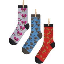 Çirkin Çoraplar Köpek Temalı Dört Mevsim Unisex 3'lü Renkli Soket Çorap Seti