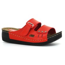 Apella Kadın Terlik