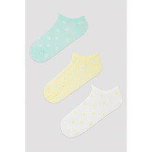 Penti Colorful Floral 3lü Patik