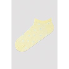 Penti Colorful Floral 3lü Patik