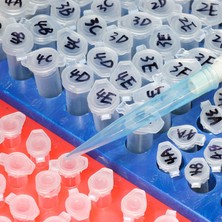 Atel-San Eppendorf Tüp 1,5 ml - 500 Adet