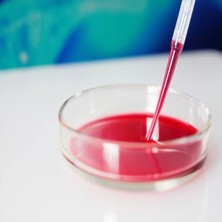 Pastör Pipeti 3 ml - 10 Adet