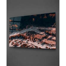 Taulart Orman Üstten Görünüm Cam Tablo