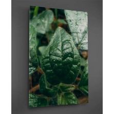 Taulart Makro Yeşil Yaprak Dikey Cam Tablo