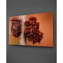 Taulart Solmuş Çiçekler Yatay Cam Tablo