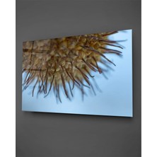 Taulart Makro Sarı Bitki Yatay Cam Tablo