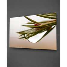 Taulart Su Damlalı Bitki Yatay Cam Tablo