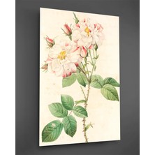 Taulart Beyaz Güller Cam Tablo