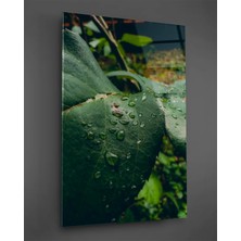 Taulart Su Damlalı Yeşil Yaprak Dikey Cam Tablo