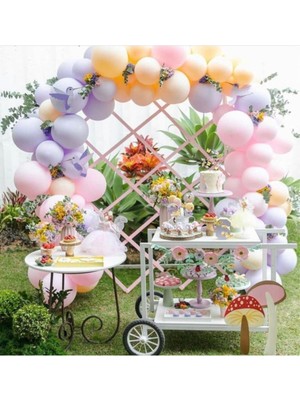 Eğlence Marketi Makaron Lila Pembe Somon Temalı Balon ve Balon Zincir