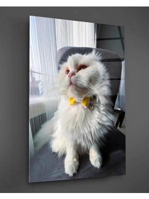 Taulart Sarı Papyonlu Beyaz Kedi Cam Tablo