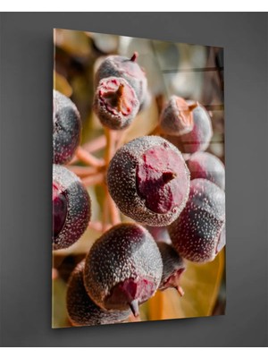 Taulart Ardıç Meyveleri Dikey Cam Tablo