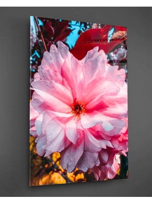 Taulart Makro Pembe Çiçek Dikey Cam Tablo