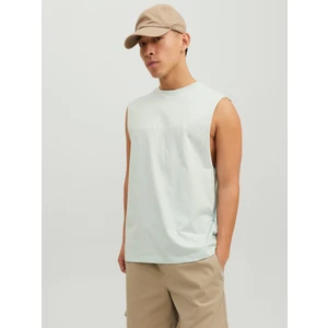 Jack & Jones Kolsuz Mint Erkek T-Shirt 12210016