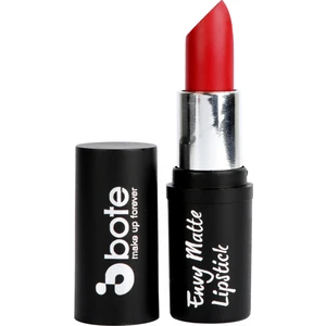 Makeup Envy Matte Lipstick 13