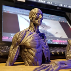 Turansoy Craft Insan Anatomisi Biblo
