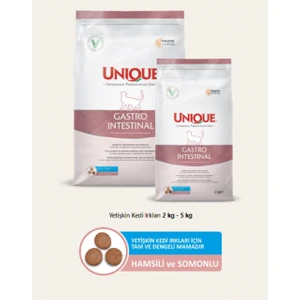 Unıque Vet Diet Dog Gastroıntestınal 3 kg