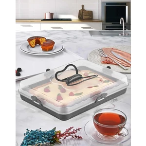 Qlux Ideas Dikdörtgen Pasta Kek Börek Saklama Kabı- Kilitli Borcam Taşıma Kabı Antrasit