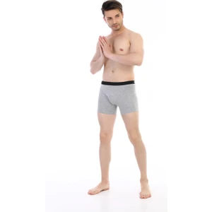 Çift Kaplan Erkek Elastanlı Gri Boxer 889