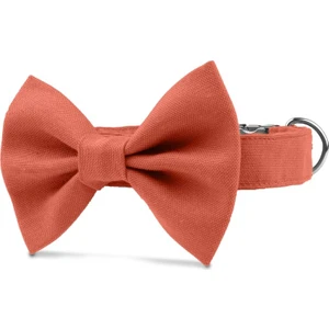 Lusi Doog Papyon Tasma (3 Beden) Turuncu