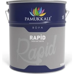 1470 Rapid Boya 15 kg Turuncu Ral 2009