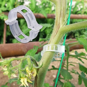 Bitki Klipsi 5.000 Adet  Şeffaf Bitki Tutucu Domates Klipsi Çiçek Destek Klipsi Her Bitkiyle Uyumlu Klips