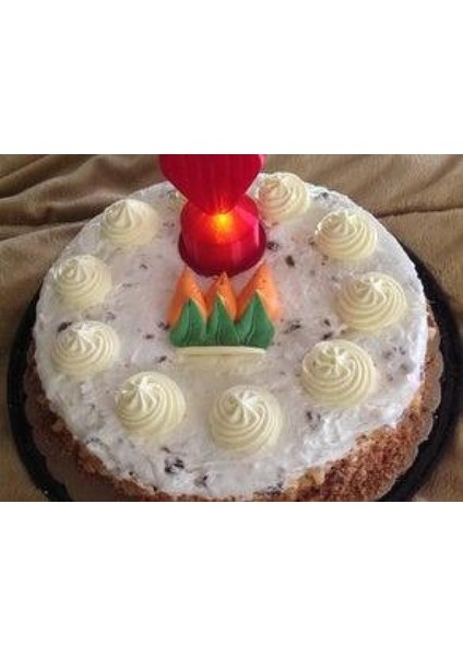 Kalp Işik Plastik Aparat fırsatları