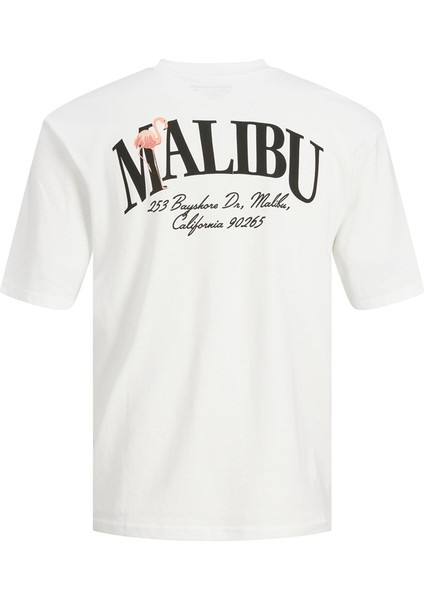 Jorpalma Dry Tee Ss Crew Neck Beyaz Erkek T-Shirt 12234293-Brigh fiyatları