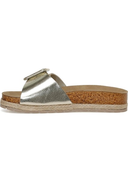 Desna 3fx Altın Kadın Terlik modelleri