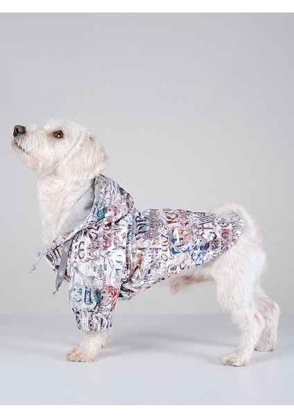 Küçük ve Orta Irk Gri Yağmurluk Proof