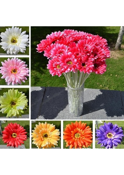 10 Adet 10 Farklı Renk Cattleya Orkide Tohumu + 10 Adet K.renk Gerbera Çiçeği Tohumu