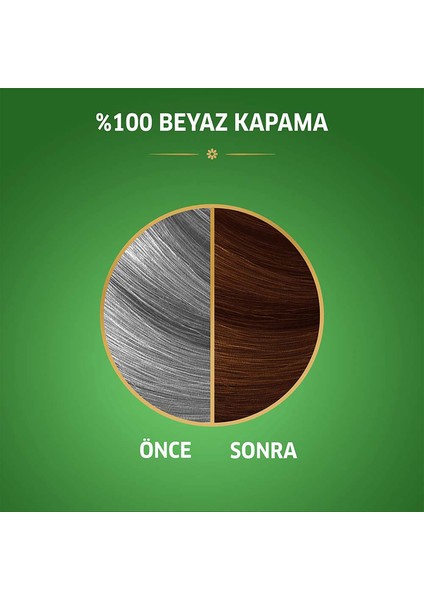 Wella Koleston Naturals 6/73 Ayışığı Kahvesi