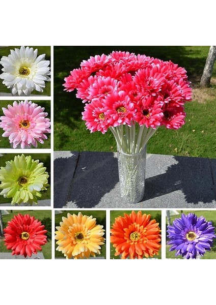 100 Adet 10 Farklı Renk Oncidium Orkide Tohumu + 10 Adet Hediye K.renk Gerbera Çiçeği Tohumu