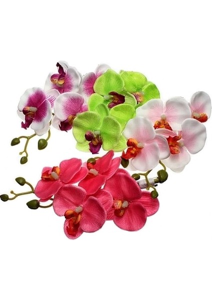 100 Adet 10 Farklı Renk Phalaenopsis Orkide Tohumu + 10 Adet Hediye K.renk Gerbera Çiçeği Tohumu