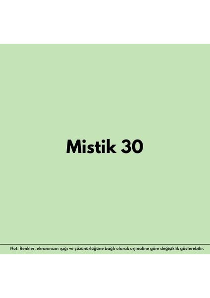 W1 Multisurface Paint - Saf Akrilik- MISTIK30