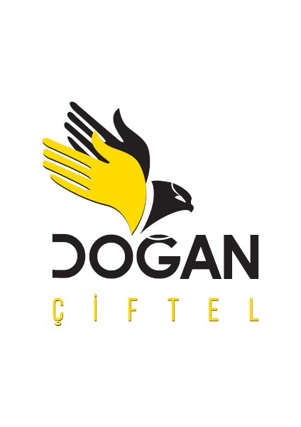 Doğan Çiftel Içi Oyuk NO:32AYNA 5 mm