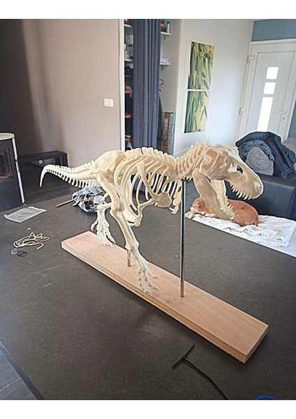 T-Rex Realistic Skeleton Dekor Büyük Boy