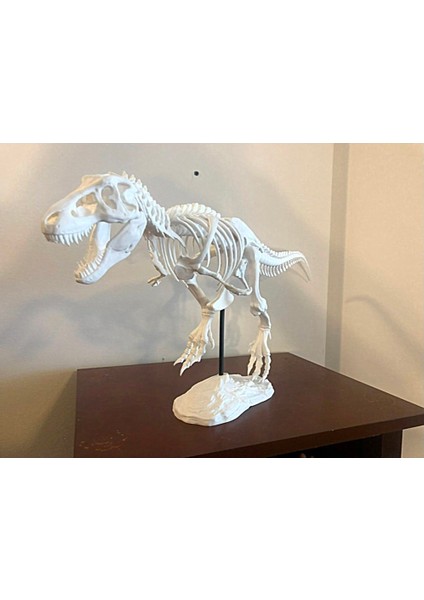 T-Rex Realistic Skeleton Dekor Büyük Boy
