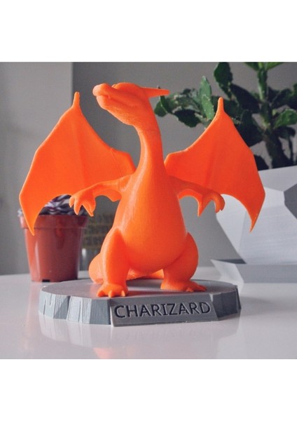Pokemon Charizard Biblo