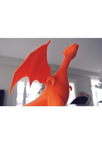 Pokemon Charizard Biblo modelleri