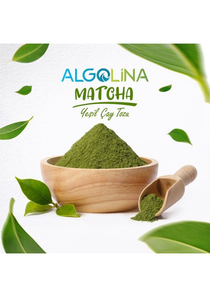 Matcha Çayı Tozu 50gr (%100 YEŞİL ÇAY) (3 Adet)