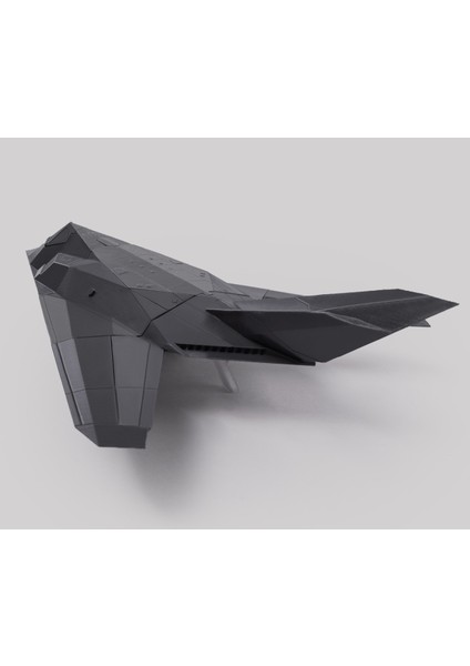 F-117 Nighthawk Model Uçak 30 cm (Dev Boy)