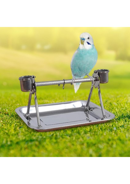 Parrot Stand Masa Rafı Eğitim Standı Kuş Kafes Levrek Kuşlar Için (Yurt Dışından)