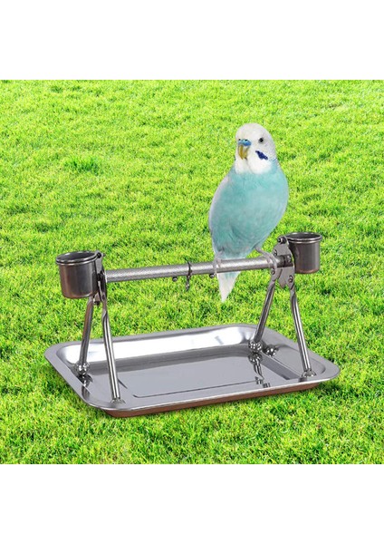 Parrot Stand Masa Rafı Eğitim Standı Kuş Kafes Levrek Kuşlar Için (Yurt Dışından)