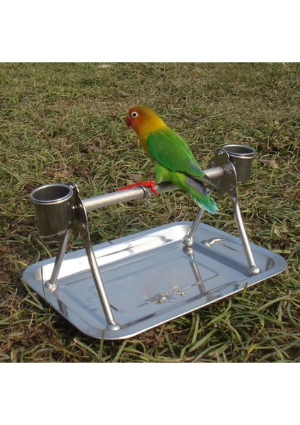 Parrot Stand Masa Rafı Eğitim Standı Kuş Kafes Levrek Kuşlar Için (Yurt Dışından)