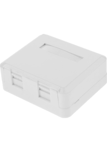 2-Port RJ45 Keystone Jack Yüzeyi (Yurt Dışından)