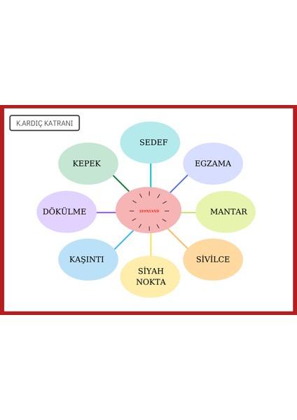 Doğal Organik Mardin Ardıç Katranı Sabunu 1 Kg fiyatları