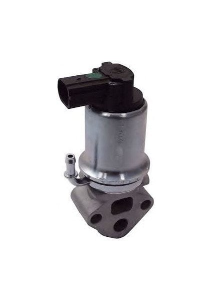Golf4 Bora Golf5 Jetta A3 Egr Valfi 2001-2010 [06A131501P]